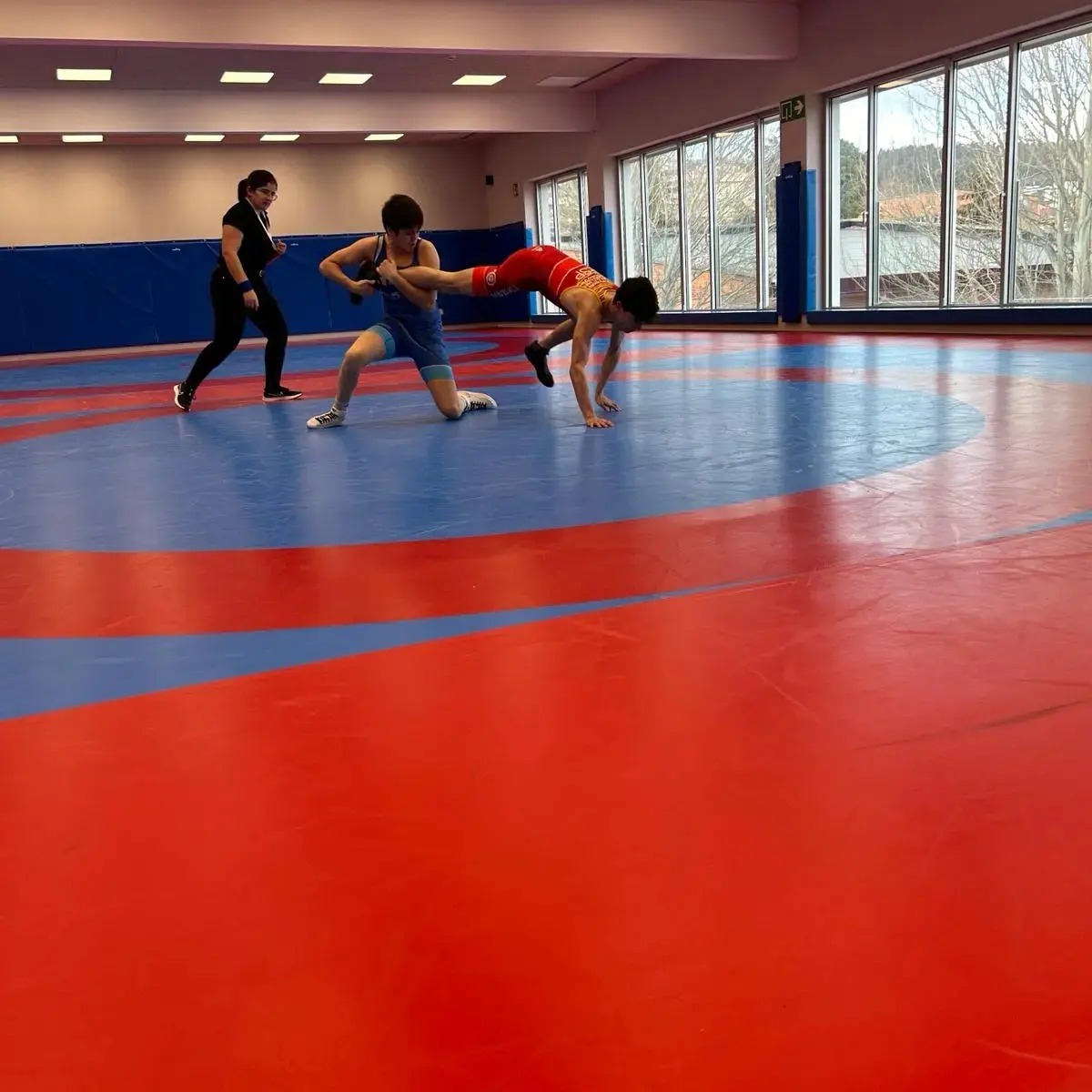 Resultados Campeonato Navarro Júnior de Luchas Olímpicas